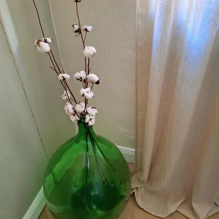 Apartmán Casa Salvia *